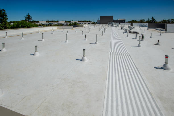 Roof Coating Services in Albany, MN